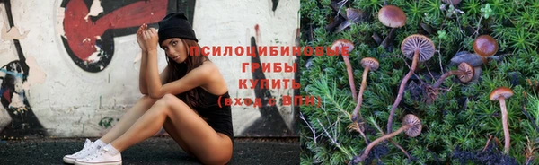 mix Алексин
