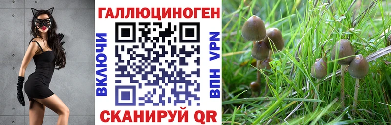Псилоцибиновые грибы ЛСД  Спасск-Рязанский 