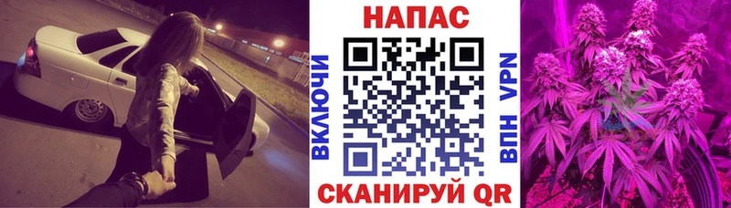 Шишки марихуана марихуана  продажа наркотиков  Спасск-Рязанский 